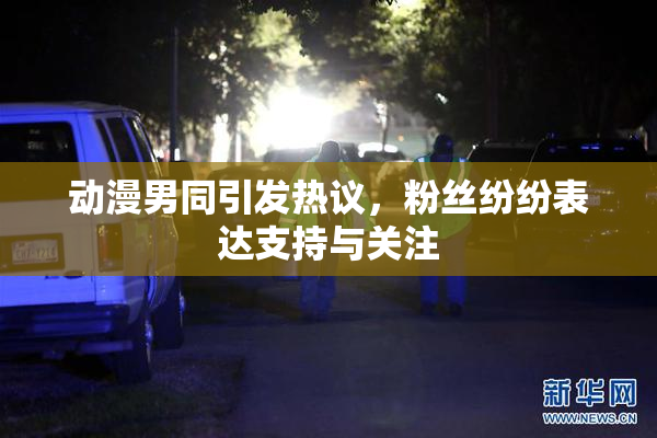 动漫男同引发热议，粉丝纷纷表达支持与关注