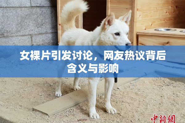 女裸片引发讨论，网友热议背后含义与影响