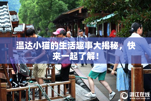 温达小猫的生活趣事大揭秘，快来一起了解！