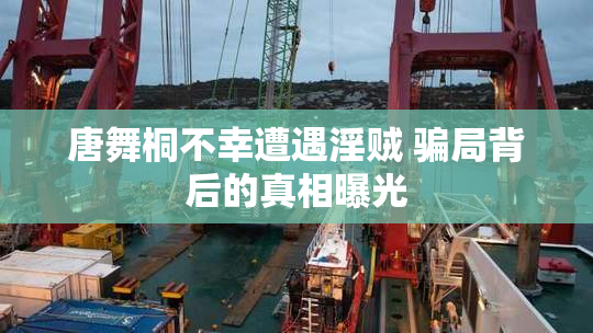 唐舞桐不幸遭遇淫贼 骗局背后的真相曝光