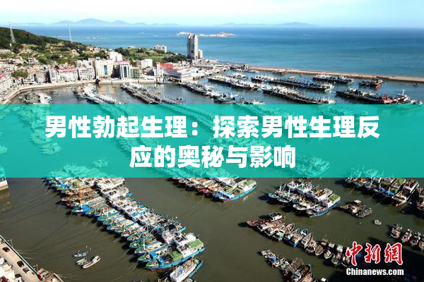 男性勃起生理：探索男性生理反应的奥秘与影响