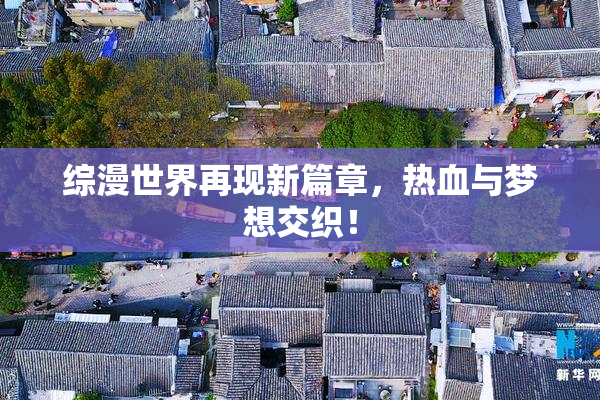 综漫世界再现新篇章，热血与梦想交织！