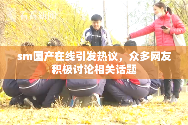 sm国产在线引发热议，众多网友积极讨论相关话题