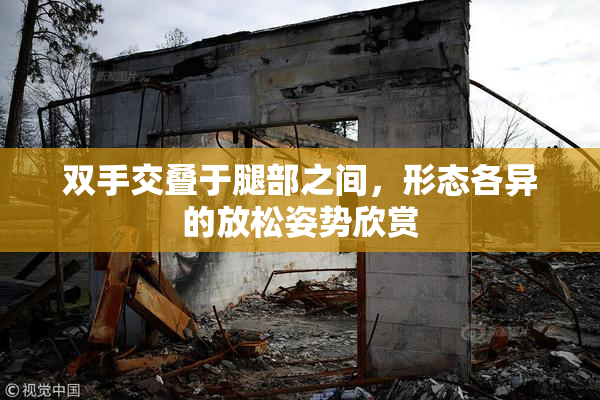 双手交叠于腿部之间，形态各异的放松姿势欣赏
