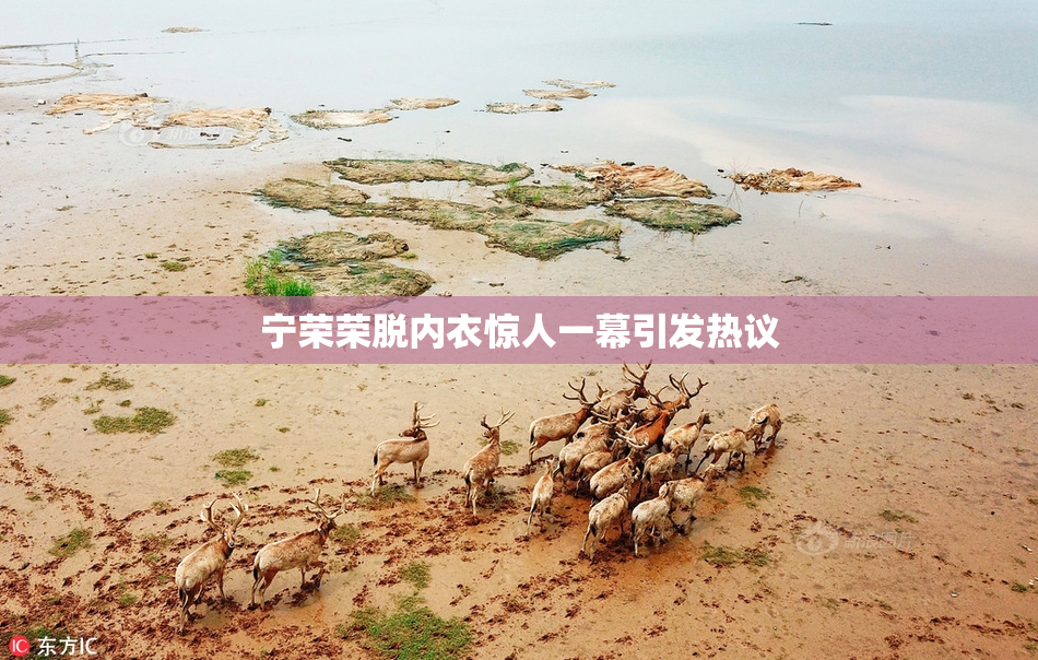 宁荣荣脱内衣惊人一幕引发热议