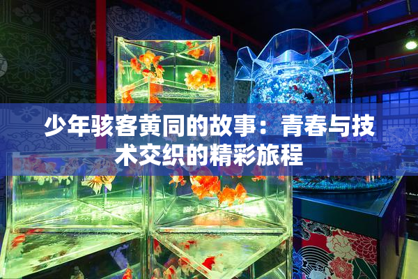 少年骇客黄同的故事：青春与技术交织的精彩旅程