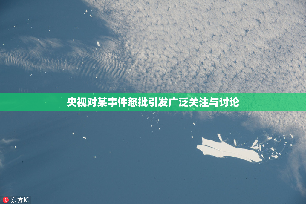 央视对某事件怒批引发广泛关注与讨论
