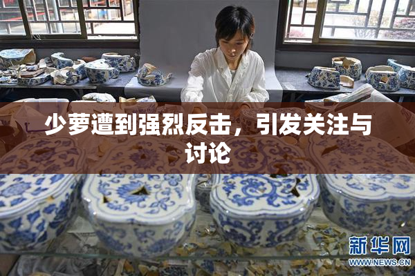 少萝遭到强烈反击，引发关注与讨论