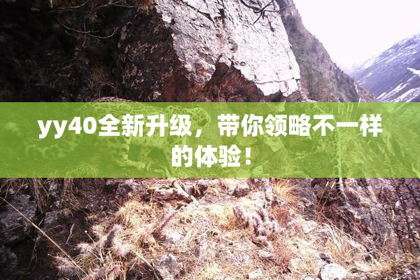 yy40全新升级，带你领略不一样的体验！