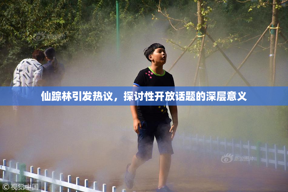 仙踪林引发热议，探讨性开放话题的深层意义
