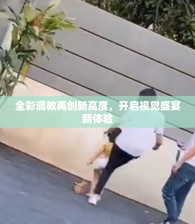 全彩调教再创新高度，开启视觉盛宴新体验