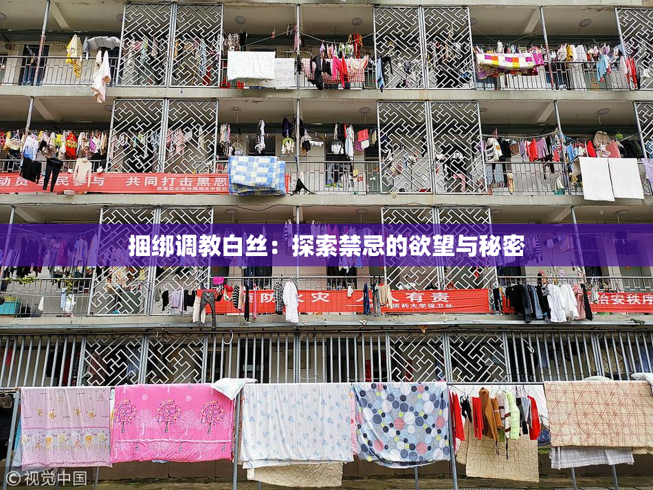 捆绑调教白丝：探索禁忌的欲望与秘密