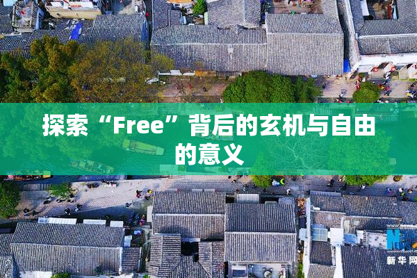 探索“Free”背后的玄机与自由的意义