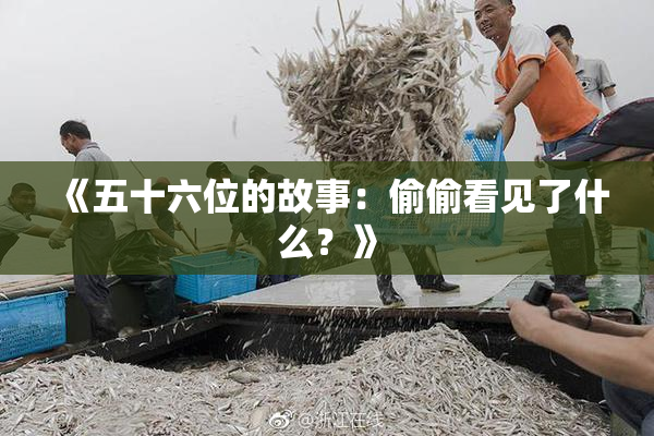 《五十六位的故事：偷偷看见了什么？》