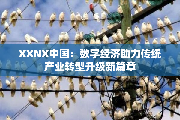 XXNX中国：数字经济助力传统产业转型升级新篇章