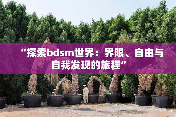 “探索bdsm世界：界限、自由与自我发现的旅程”
