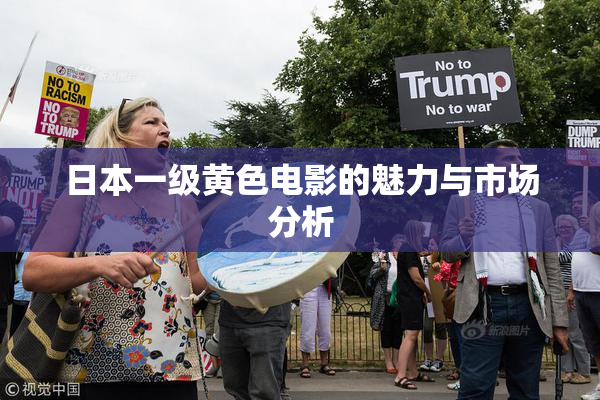 日本一级黄色电影的魅力与市场分析