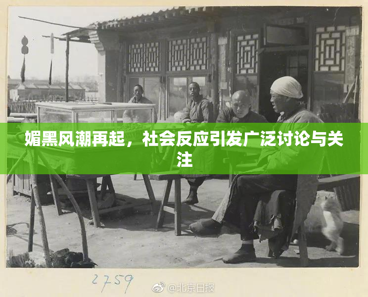 媚黑风潮再起，社会反应引发广泛讨论与关注