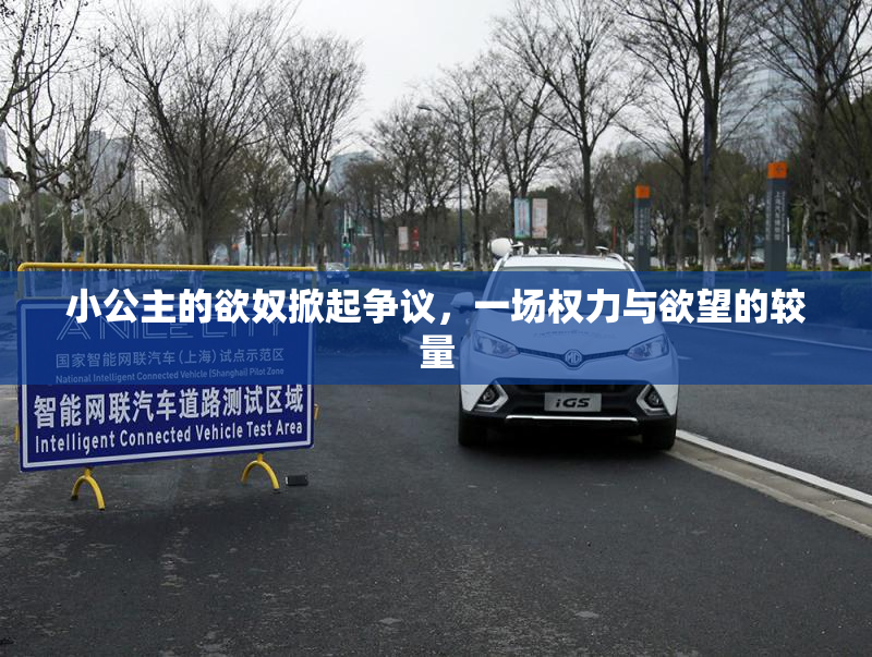 小公主的欲奴掀起争议，一场权力与欲望的较量