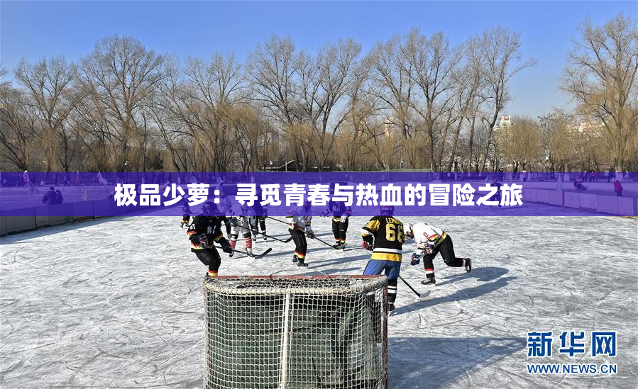 极品少萝：寻觅青春与热血的冒险之旅
