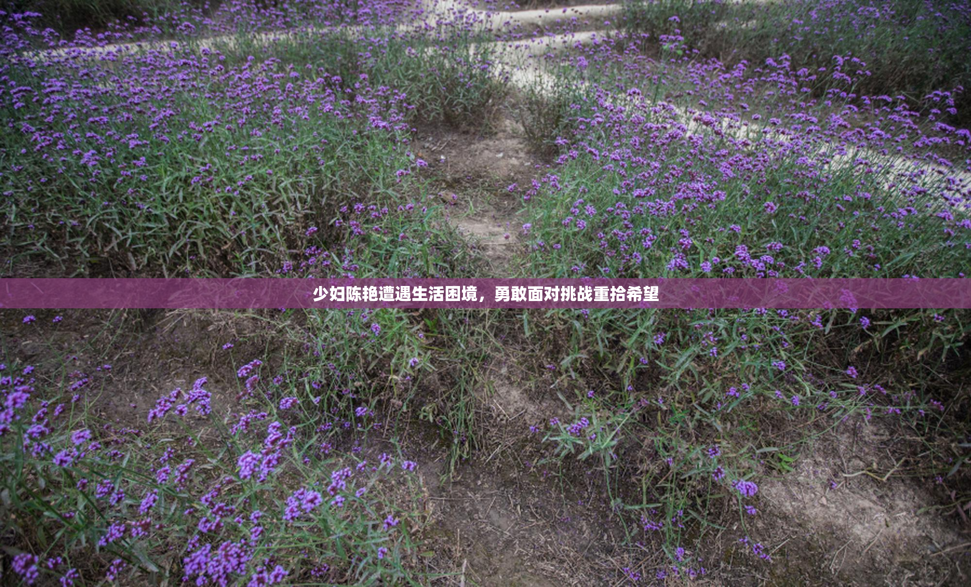 少妇陈艳遭遇生活困境，勇敢面对挑战重拾希望