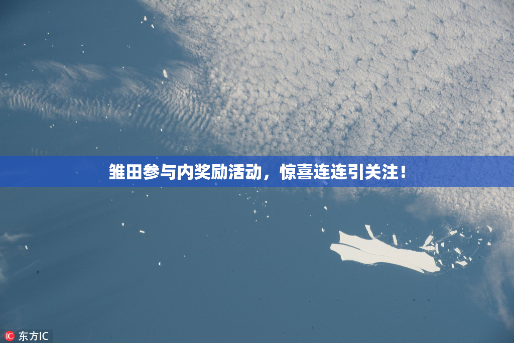 雏田参与内奖励活动，惊喜连连引关注！