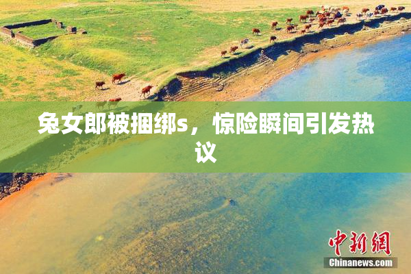 兔女郎被捆绑s，惊险瞬间引发热议
