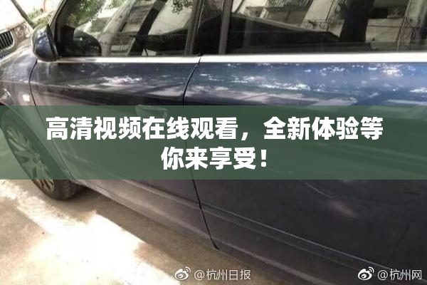 高清视频在线观看，全新体验等你来享受！