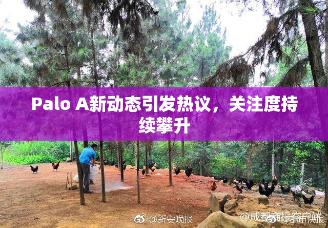 Palo A新动态引发热议，关注度持续攀升