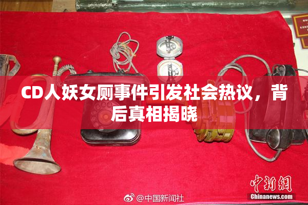 CD人妖女厕事件引发社会热议，背后真相揭晓