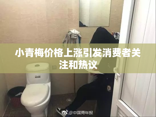 小青梅价格上涨引发消费者关注和热议