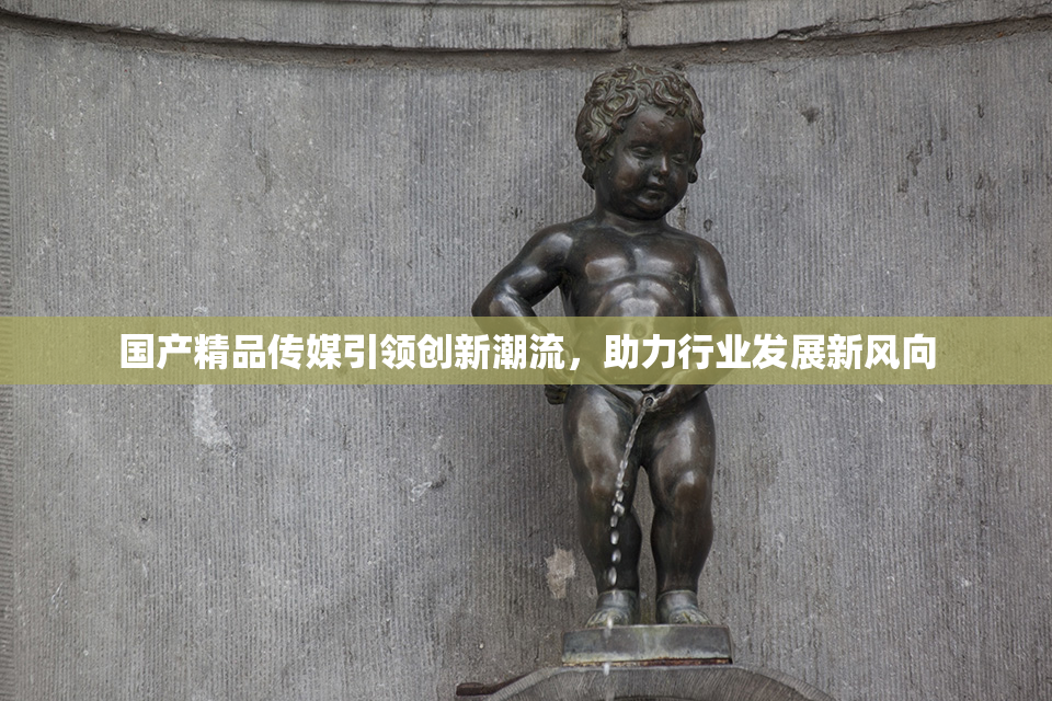 国产精品传媒引领创新潮流，助力行业发展新风向