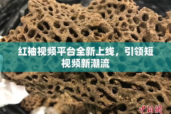 红袖视频平台全新上线，引领短视频新潮流