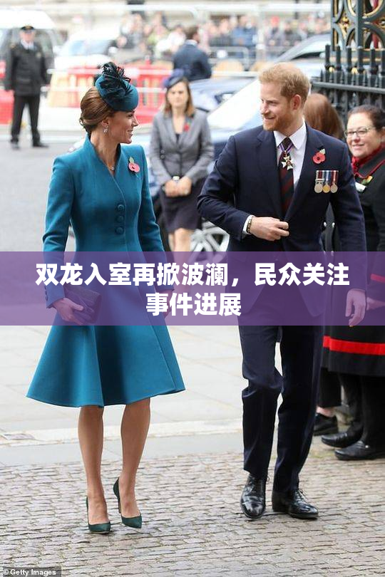 双龙入室再掀波澜，民众关注事件进展