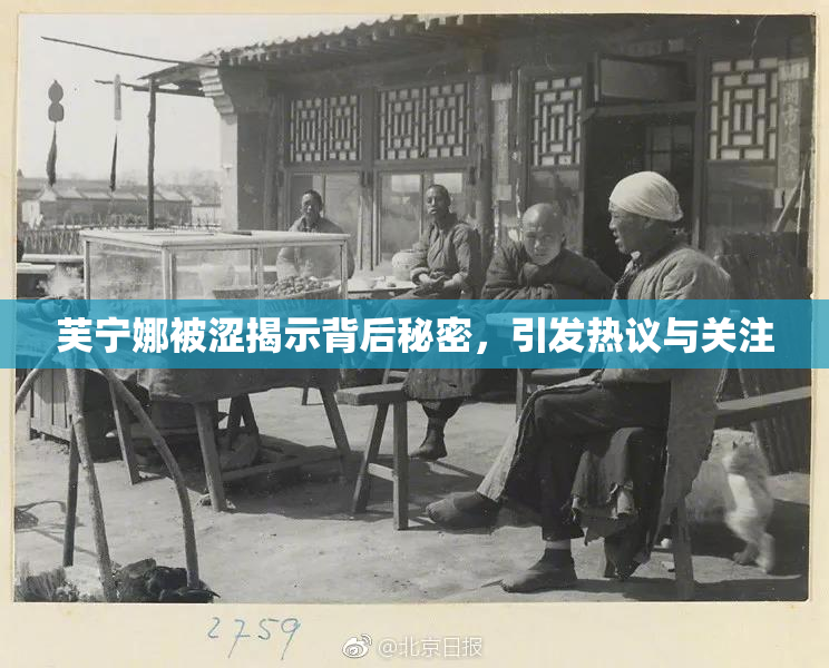 芙宁娜被涩揭示背后秘密，引发热议与关注