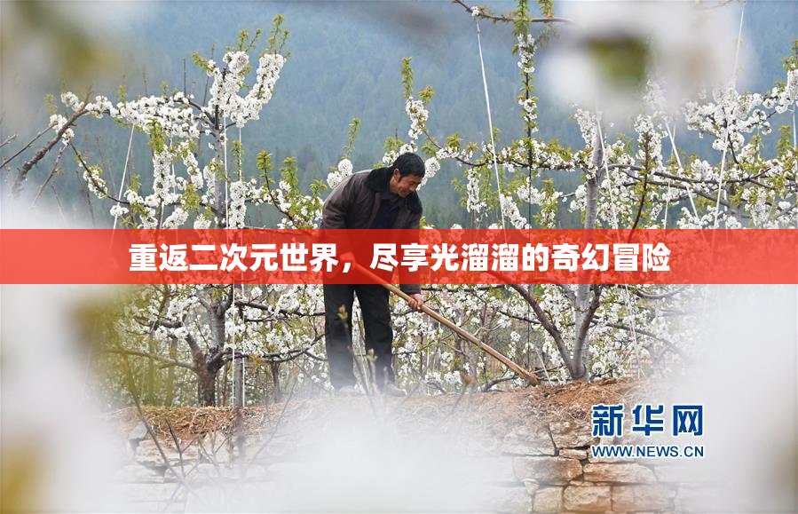 重返二次元世界，尽享光溜溜的奇幻冒险