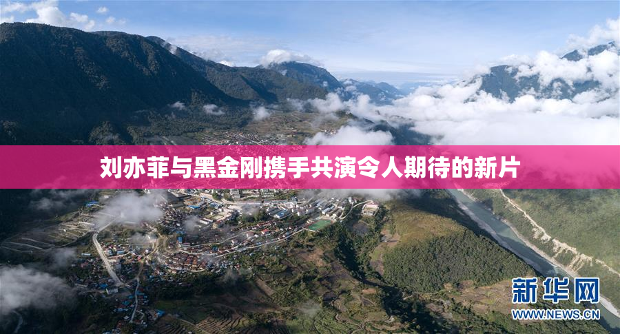 刘亦菲与黑金刚携手共演令人期待的新片