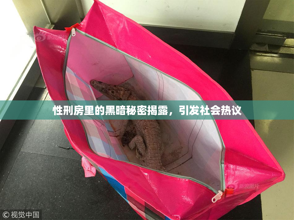 性刑房里的黑暗秘密揭露，引发社会热议