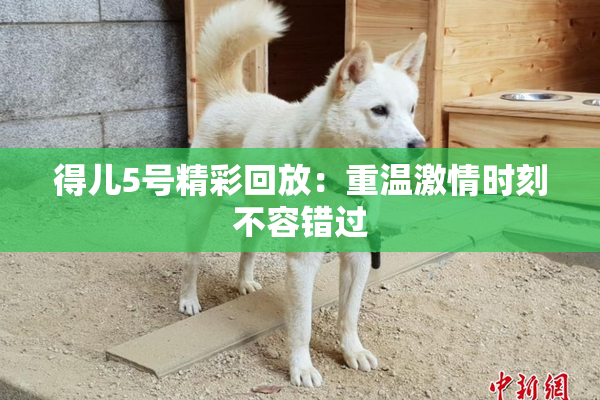得儿5号精彩回放：重温激情时刻不容错过