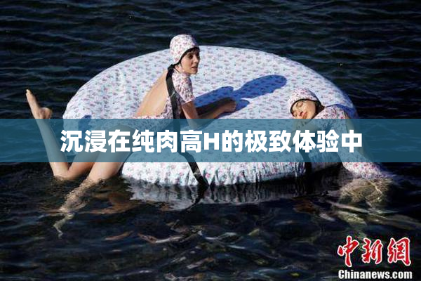 沉浸在纯肉高H的极致体验中