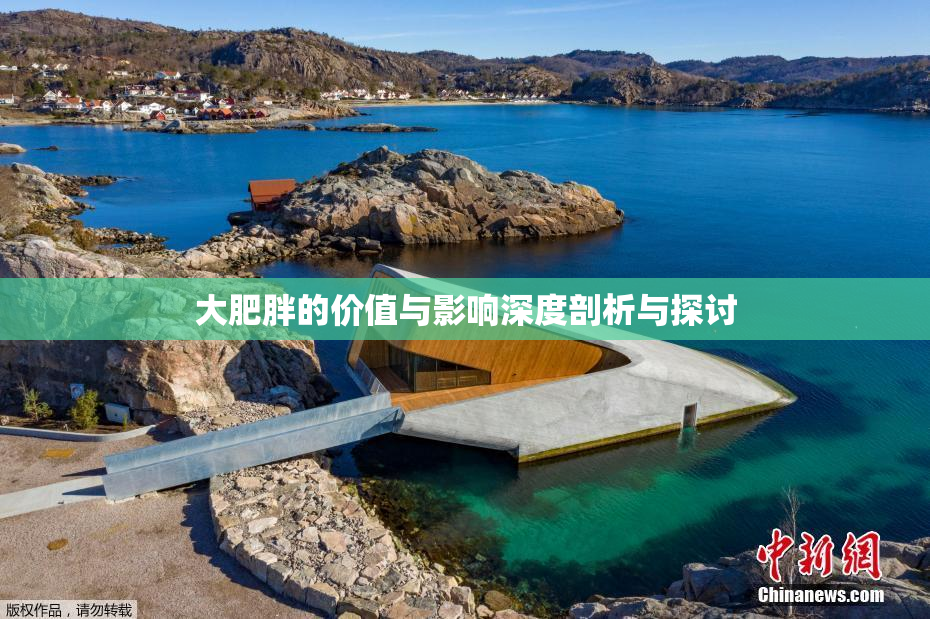 大肥胖的价值与影响深度剖析与探讨