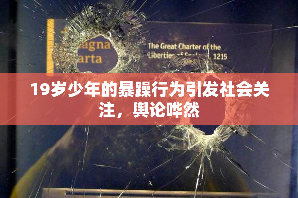 19岁少年的暴躁行为引发社会关注，舆论哗然