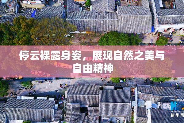 停云裸露身姿，展现自然之美与自由精神