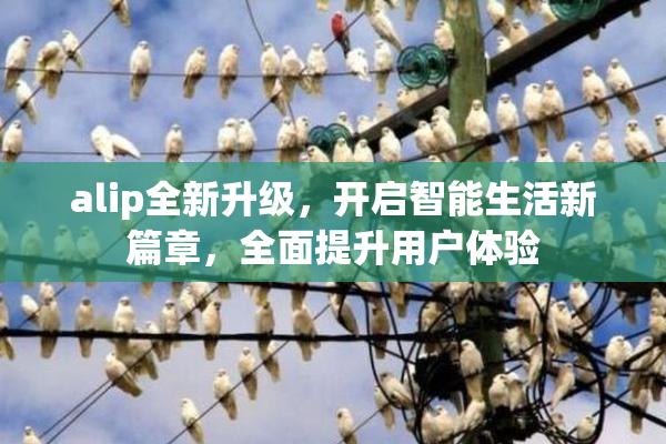 alip全新升级，开启智能生活新篇章，全面提升用户体验