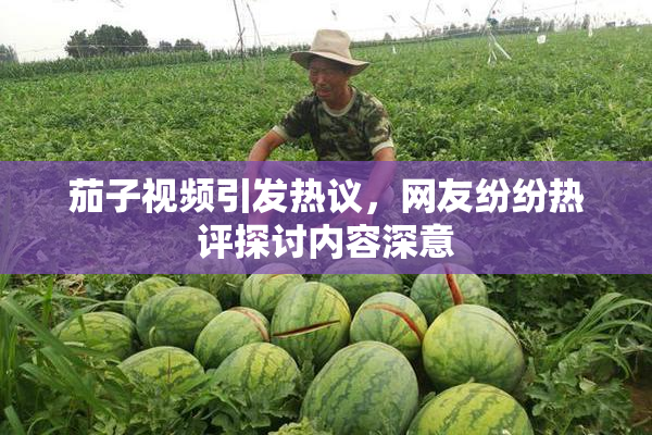 茄子视频引发热议，网友纷纷热评探讨内容深意