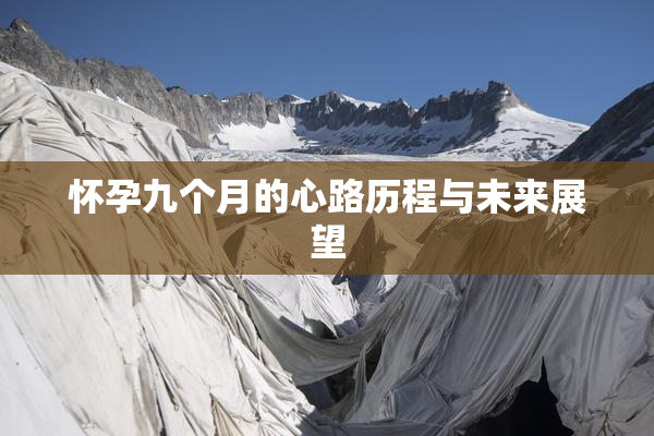 怀孕九个月的心路历程与未来展望