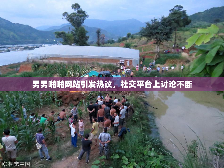 男男啪啪网站引发热议，社交平台上讨论不断