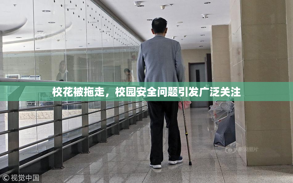 校花被拖走，校园安全问题引发广泛关注