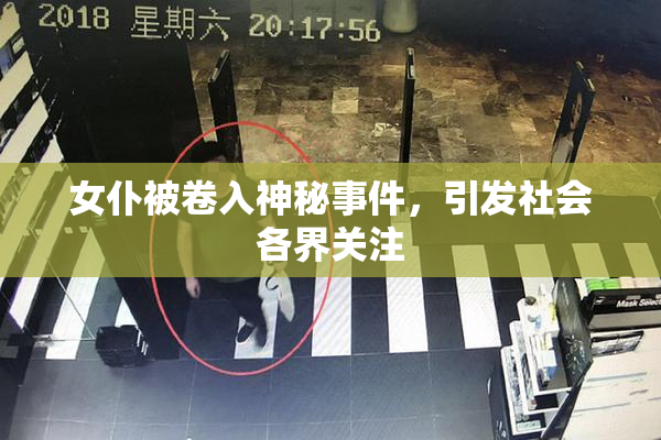 女仆被卷入神秘事件，引发社会各界关注