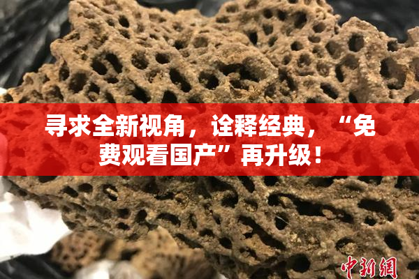 寻求全新视角，诠释经典，“免费观看国产”再升级！